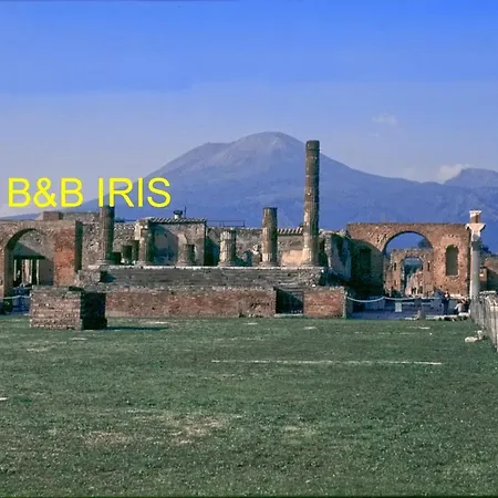 B&B Iris-3